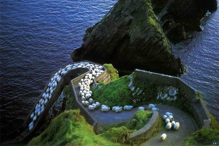 Dingle Peninsula Four Hour Private Tour