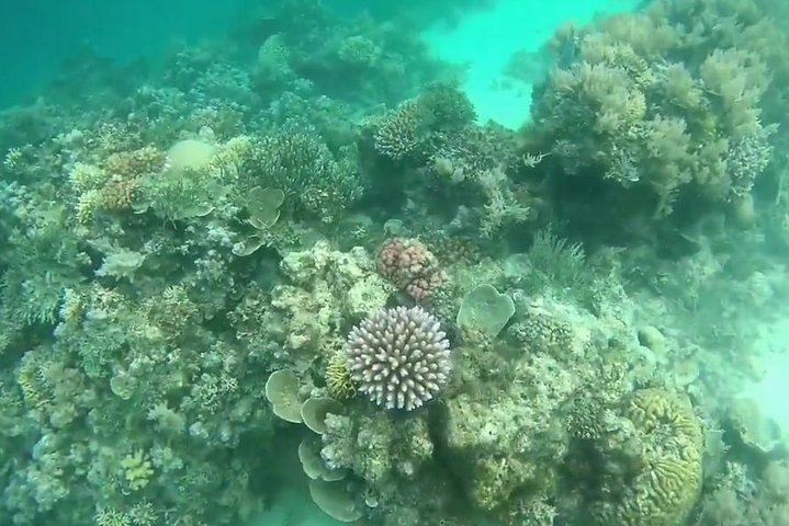 Snorkeling At Misali Island