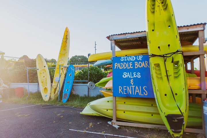 Big Island: Captain Cook Snorkel On A Power Catamaran With Lunch