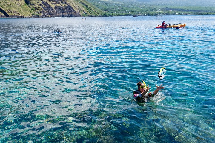 Big Island: Captain Cook Snorkel On A Power Catamaran With Lunch