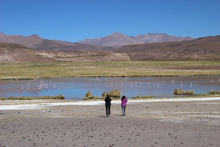 Isluga National Park Tour
