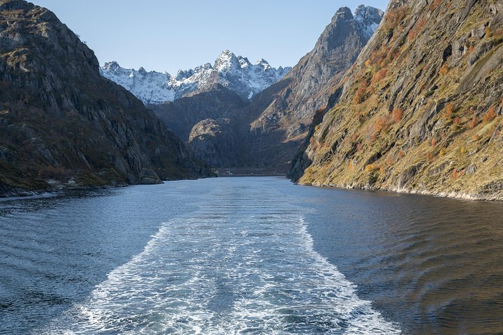 Lofoten Island: Silent Trollfjord Cruise from Svolvær