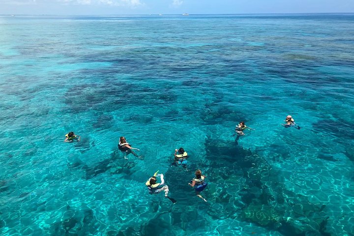 Key West Reef Morning Snorkeling with Breakfast and Mimosas