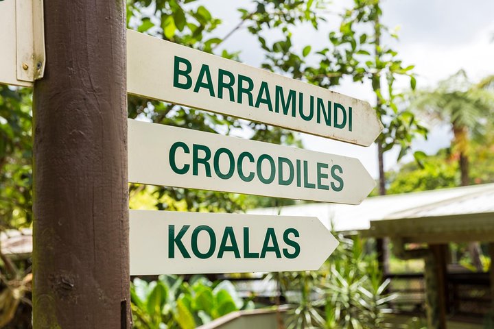 Kuranda Scenic Railway Day Trip from Cairns