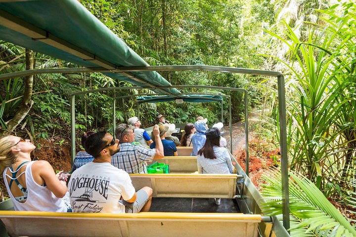 Kuranda Scenic Railway Day Trip from Cairns