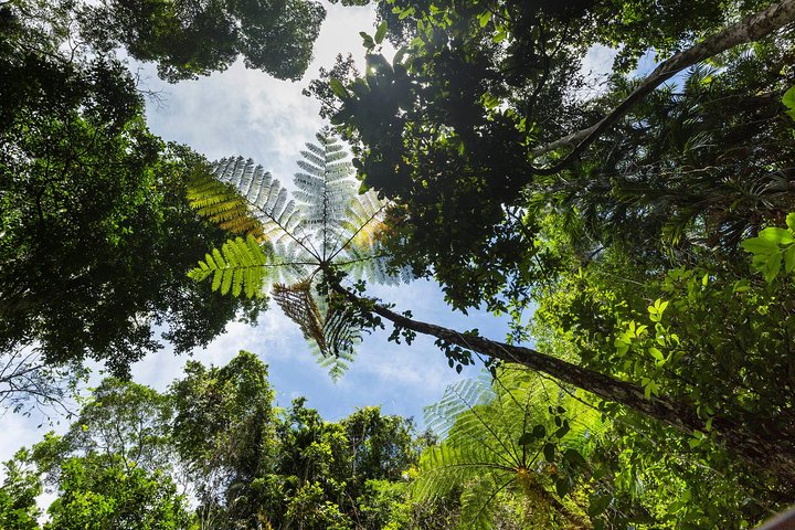 Kuranda Scenic Railway Day Trip from Cairns