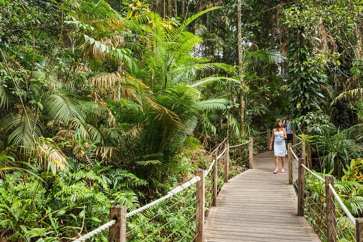 Kuranda Scenic Railway Day Trip from Cairns