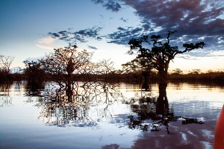 4 Days Amazon Immersive Experience in the Cuyabeno Reserve
