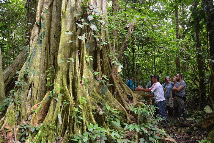 4 Days Amazon Immersive Experience in the Cuyabeno Reserve