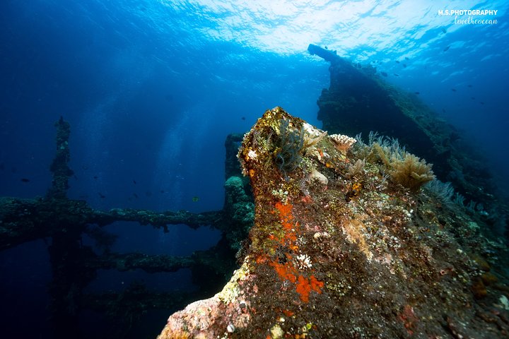 Discover Scuba Diving in Tulamben - Diving Initiation in Bali best diving sites