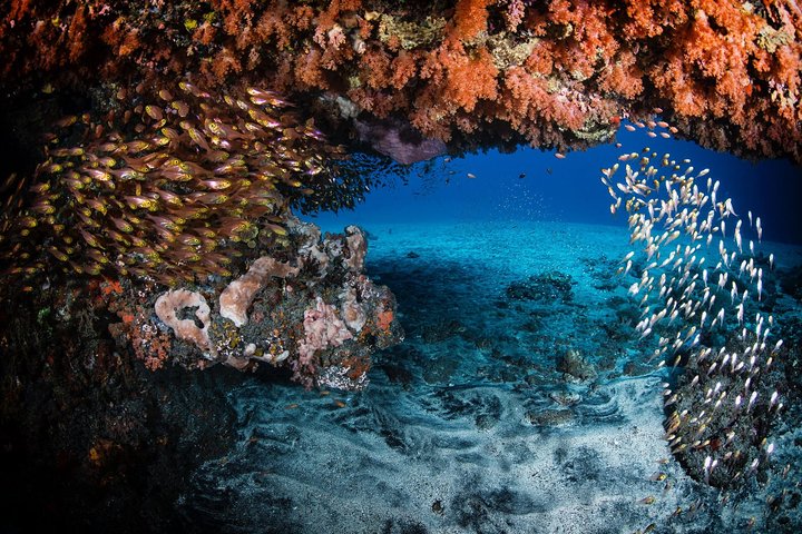 Discover Scuba Diving in Tulamben - Diving Initiation in Bali best diving sites