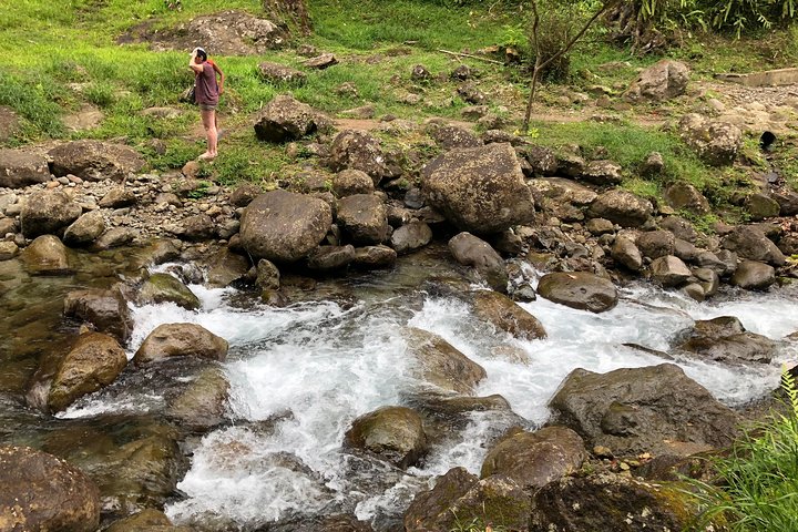 Unmissable Martinique North Tour with Saint-Pierre