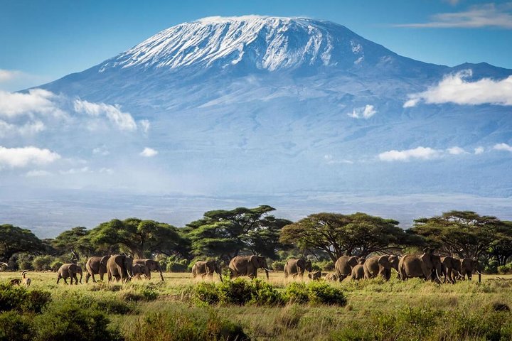 5 days Serengeti Wildebeest Migration Safari