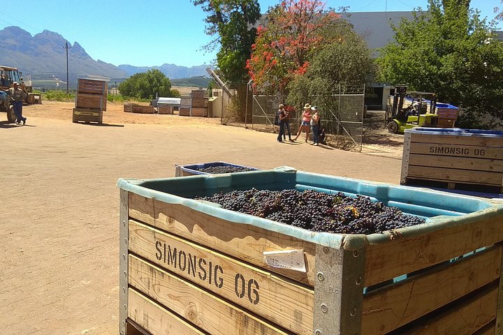 Cape Town Wine Tour: Stellenbosch & Franschhoek +Tastings & Lunch