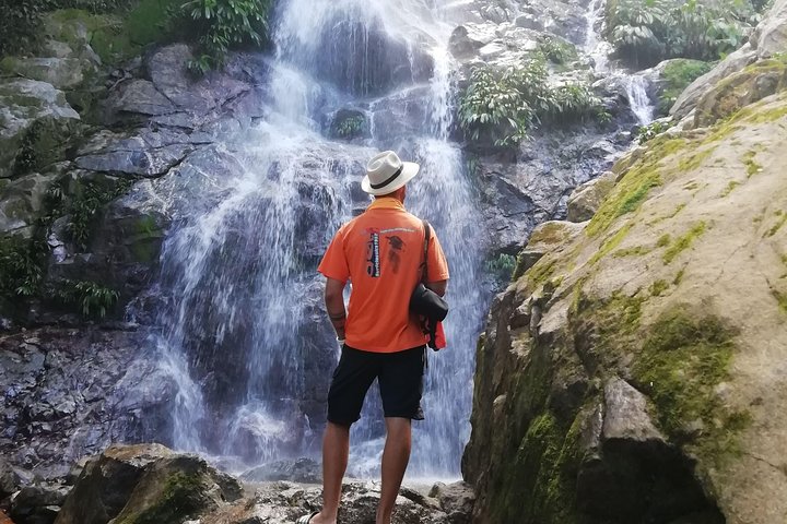 Private La Victoria Coffee Tour – Waterfalls & Minca