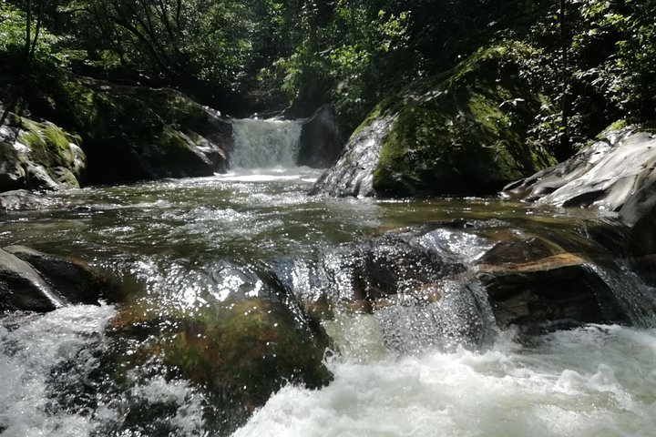 Private La Victoria Coffee Tour – Waterfalls & Minca