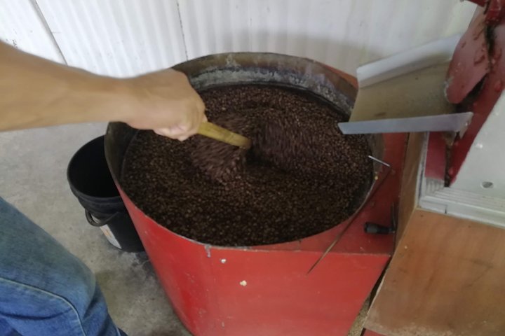 Private La Victoria Coffee Tour – Waterfalls & Minca