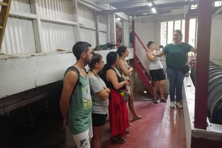 Private La Victoria Coffee Tour – Waterfalls & Minca