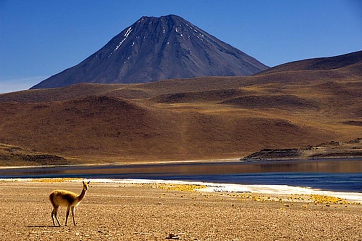 4-Day Atacama Desert Experience with Hotel, Tours & Meals