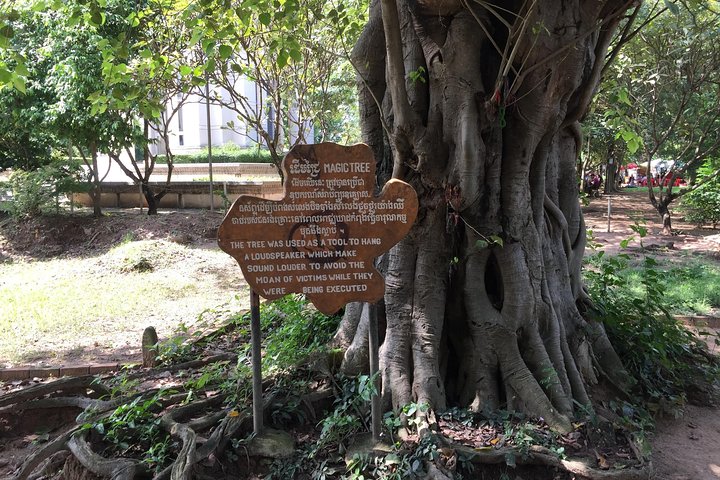 Private Half Day To Killing Field & S21 Genocidal Museum in Phnom Penh