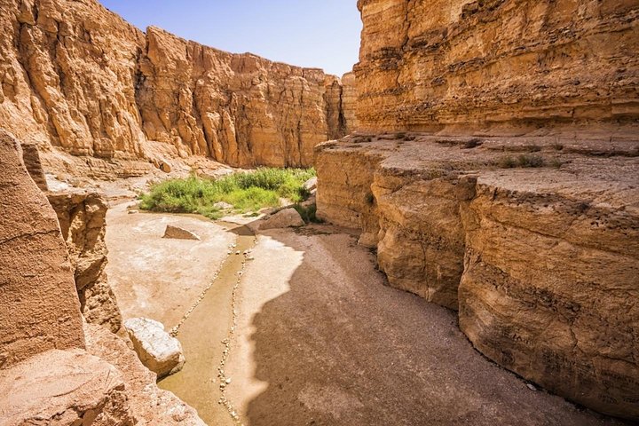 Tozeur Private Half-Day Tour: Tamerza, Chebika and Mides Canyons