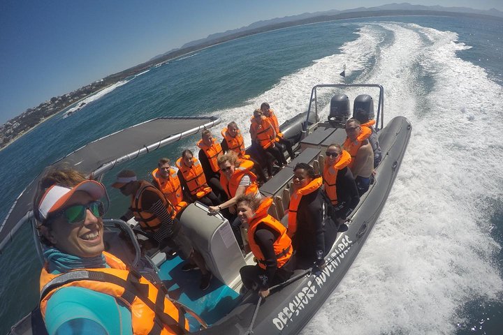 1.5-Hour Seal Viewing Boat Tour in Plettenberg Bay