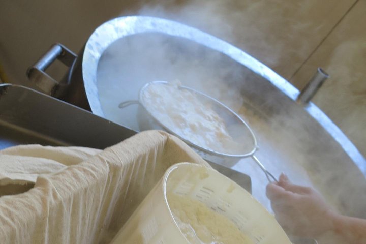 Troodos Mountains Halloumi Making: All Inclusive Workshop & Tour