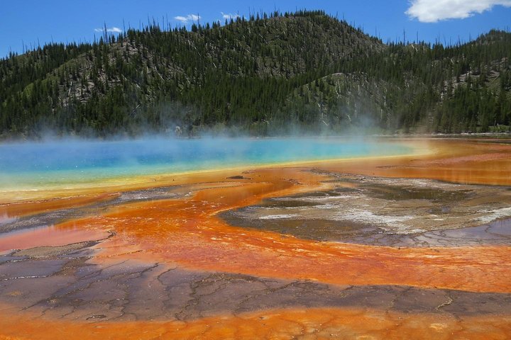 Yellowstone National Park - Full-Day Lower Loop Tour from West Yellowstone