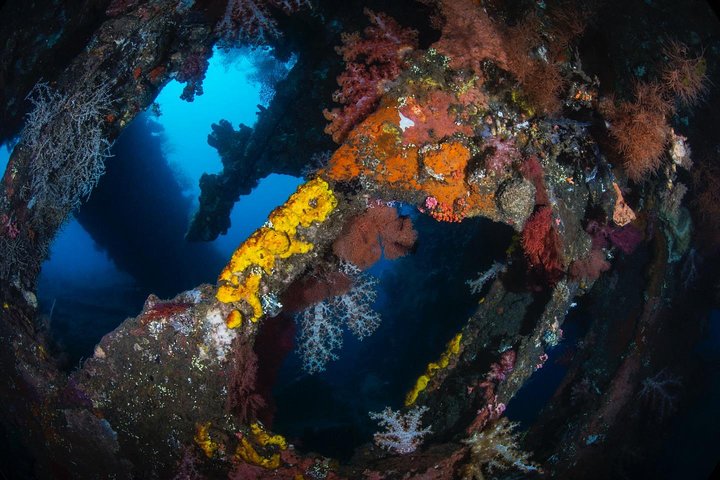 5 Fun Dives in Tulamben (for certified divers) - Discover famous diving sites