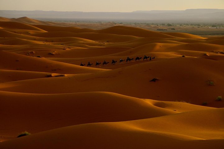 Merzouga: Overnight in luxury desert camp with Camel Ride, meals & sandboarding