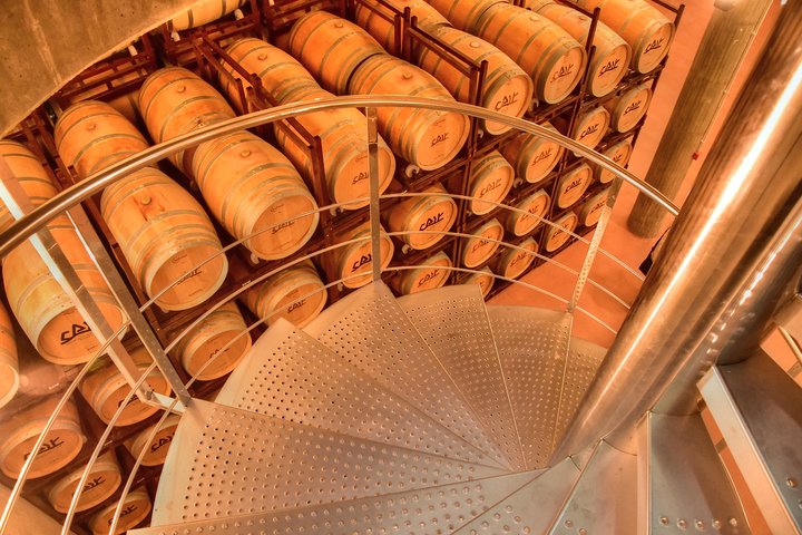 Exclusive tour: Ribera del Duero "like a native", with lamb in a wood oven