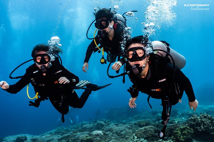 Discover Scuba Diving in Tulamben - Diving Initiation in Bali best diving sites