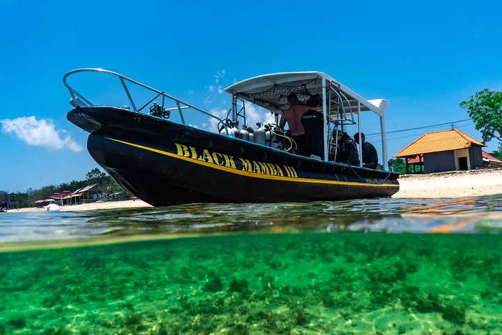 7 Fun Dives in Pemuteran (for certified divers) - Exploration in Menjangan Park