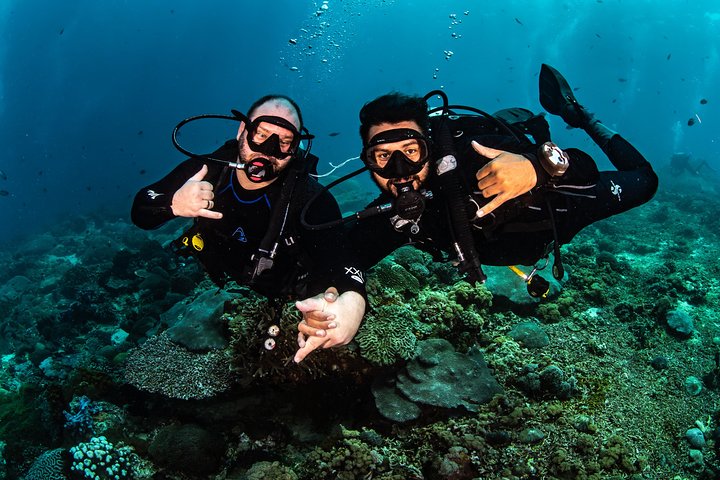 7 Fun Dives in Pemuteran (for certified divers) - Exploration in Menjangan Park