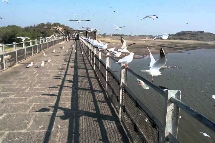 Full Day Rajkot City Tour