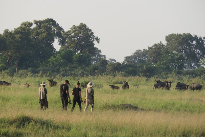 2 Nights Okavango Delta Mokoro WildCamping Tour, all-inclusive