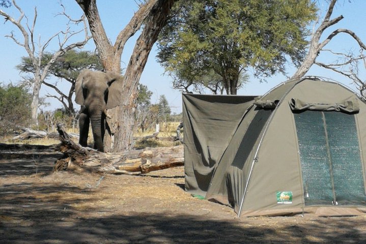 3 Day Desert Trail: Central Kalahari Game Reserve - WildCamping Safari