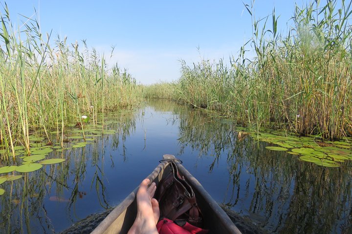 2 Nights Okavango Delta Mokoro WildCamping Tour, all-inclusive