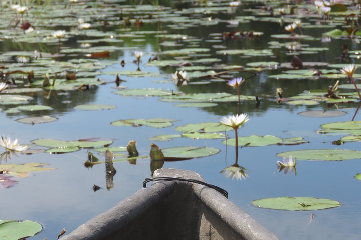 2 Nights Okavango Delta Mokoro WildCamping Tour, all-inclusive