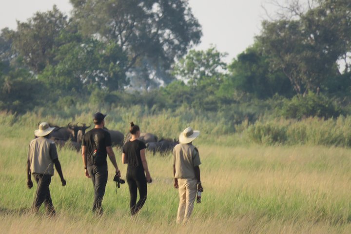 2 Nights Okavango Delta Mokoro WildCamping Tour, all-inclusive