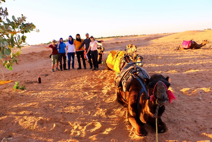 Merzouga: Overnight in luxury desert camp with Camel Ride, meals & sandboarding