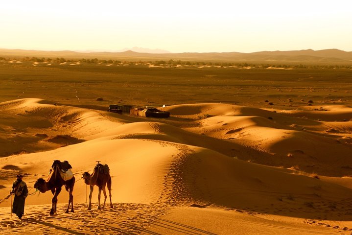 Merzouga: Overnight in luxury desert camp with Camel Ride, meals & sandboarding