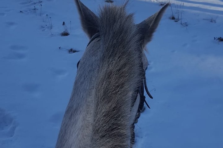 Private Teteven Horse Riding Experience from Sofia with Overnight
