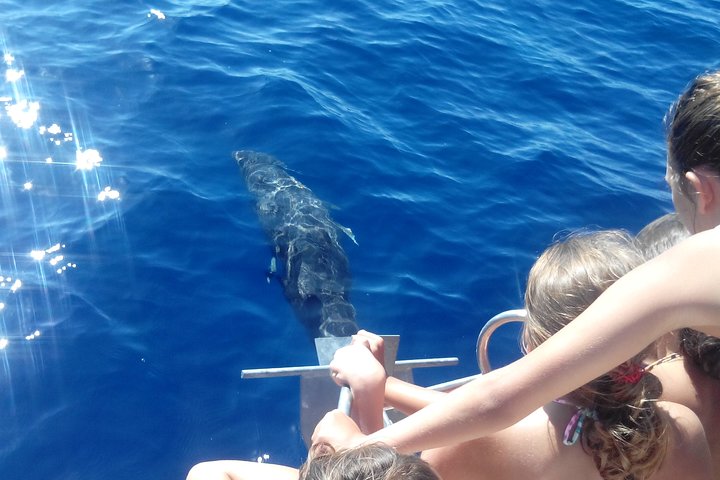 Family outing in the south of La Gomera