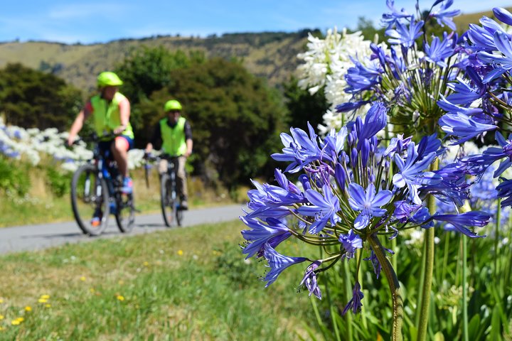 Akaroa Explorer- Guided Electric Bike Tour in Akaroa