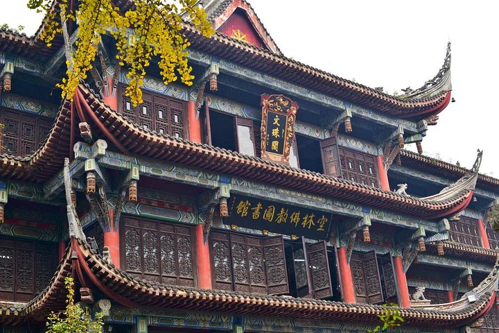 Private Chengdu Highlights Day Trip: Panda Base and City from Chongqing by Train
