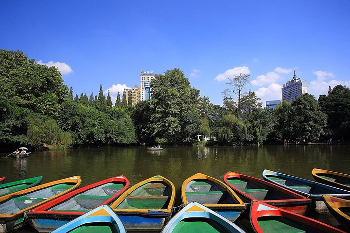 Private Chengdu Highlights Day Trip: Panda Base and City from Chongqing by Train