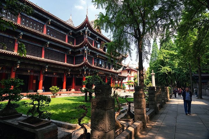 Private Chengdu Highlights Day Trip: Panda Base and City from Chongqing by Train