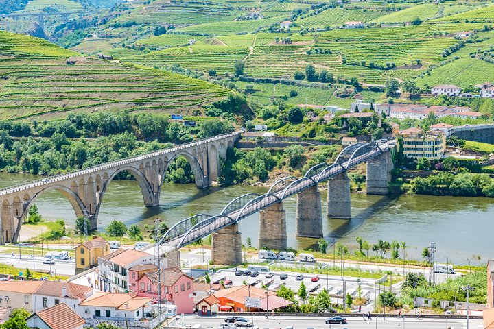 Douro Valley Tour: Wine Tasting, Cruise and Lunch from Porto