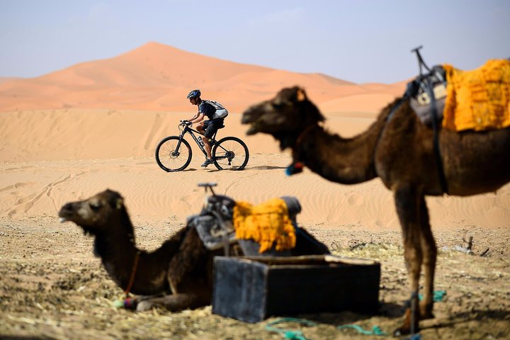 Merzouga: Overnight in Luxury Desert Camp with Camel Ride, meals & sandboarding